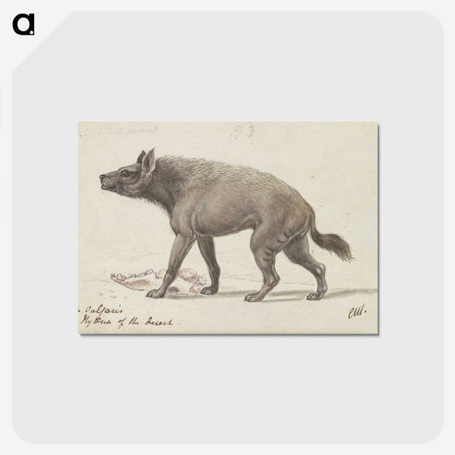 1-42_Charles-Hamilton-Smith_postcard