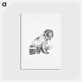 アートポストカード-Sitting Dog
 - コルネリス プロース ファン アムステル Postcard.