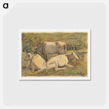 アートポストカード-Cows
 - シプリアン マジェルニク Postcard.