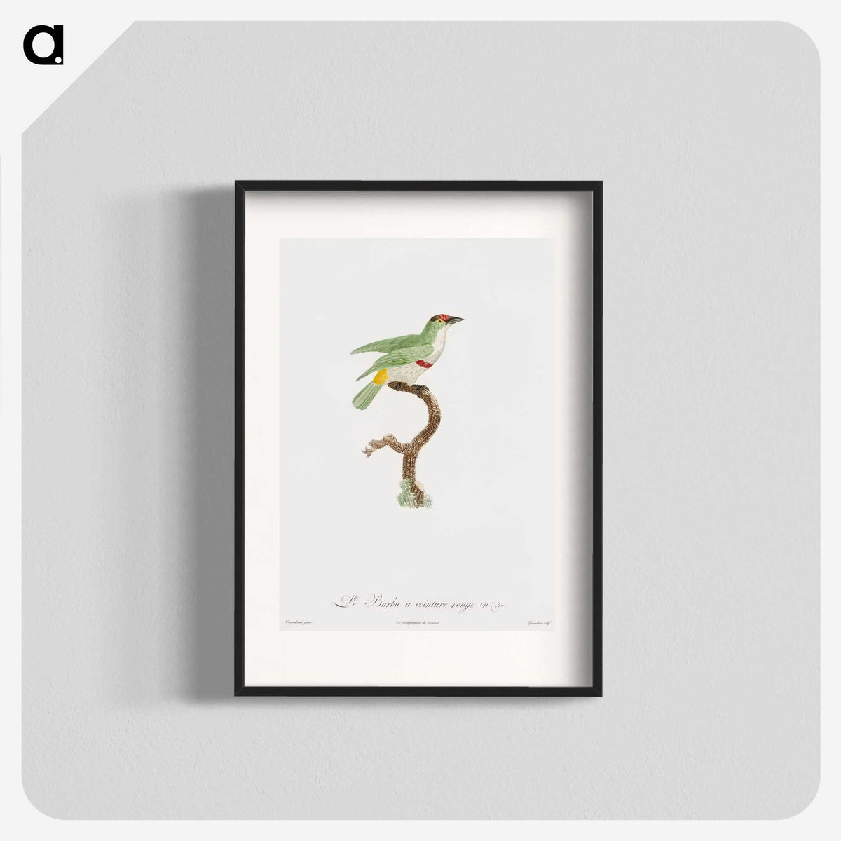 1-42_Des-Oiseaux-de-Paradis_blk