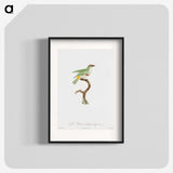 1-42_Des-Oiseaux-de-Paradis_blk