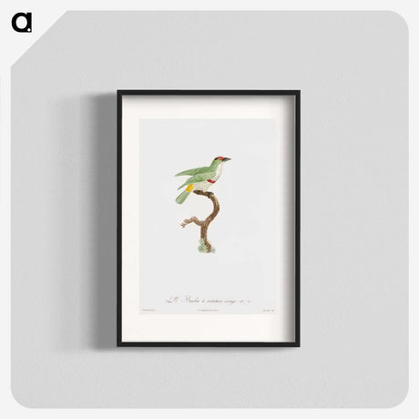 1-42_Des-Oiseaux-de-Paradis_blk