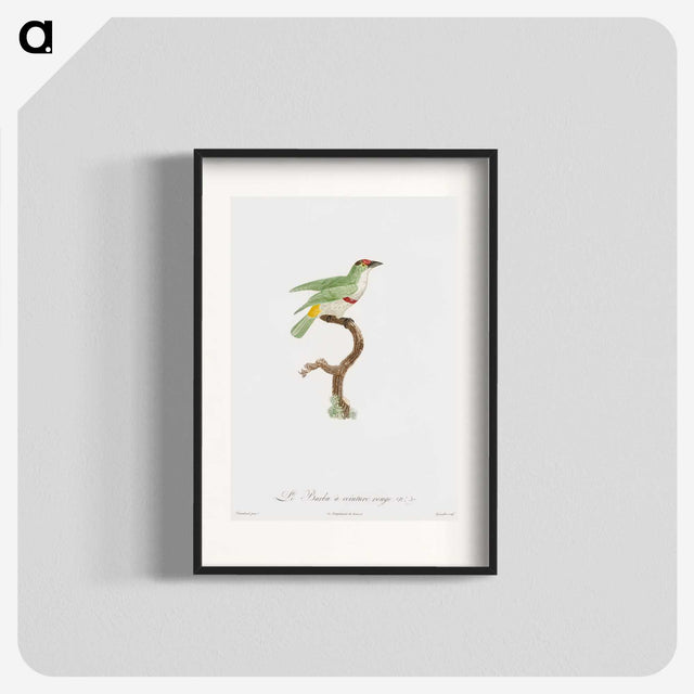 1-42_Des-Oiseaux-de-Paradis_blk