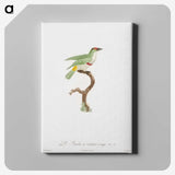 1-42_Des-Oiseaux-de-Paradis_canvas