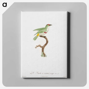 1-42_Des-Oiseaux-de-Paradis_canvas