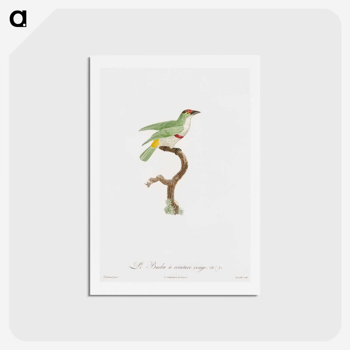 1-42_Des-Oiseaux-de-Paradis_hagaki