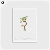 1-42_Des-Oiseaux-de-Paradis_hagaki