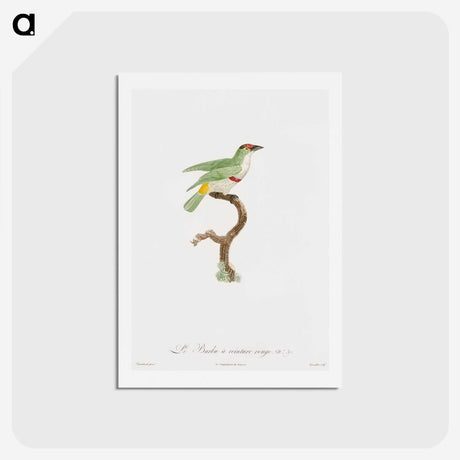 1-42_Des-Oiseaux-de-Paradis_hagaki