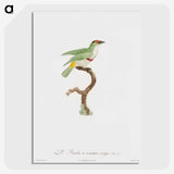 1-42_Des-Oiseaux-de-Paradis_picture-crop
