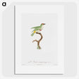1-42_Des-Oiseaux-de-Paradis_picture