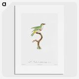 1-42_Des-Oiseaux-de-Paradis_picture