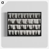 1-42_Eadweard-Muybridge_blk-crop