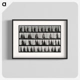 1-42_Eadweard-Muybridge_blk