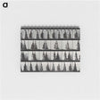 1-42_Eadweard-Muybridge_memo