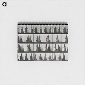 1-42_Eadweard-Muybridge_memo