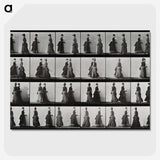 1-42_Eadweard-Muybridge_picture-crop
