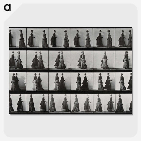 1-42_Eadweard-Muybridge_picture-crop