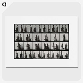 1-42_Eadweard-Muybridge_picture