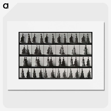 1-42_Eadweard-Muybridge_picture