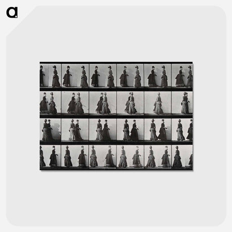 アートポストカード-Meeting Women
 - エドワード マイブリッジ Postcard.