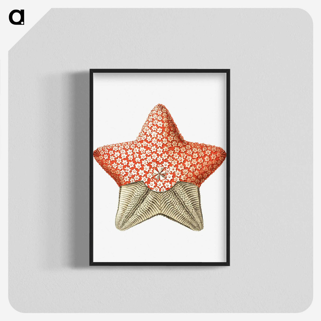 1-42_Ernst-Haeckel_blk-crop