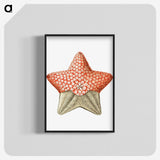 1-42_Ernst-Haeckel_blk-crop