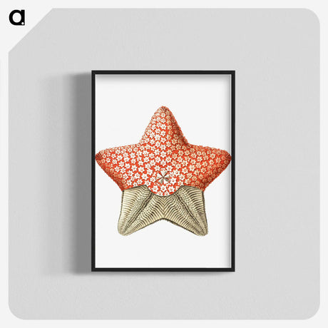 1-42_Ernst-Haeckel_blk-crop