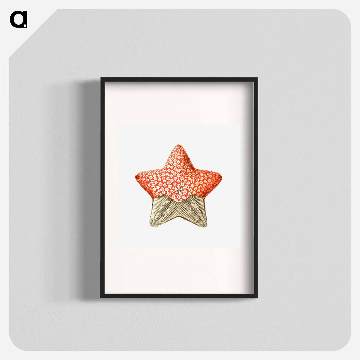 Vintage starfish marine life illustration - エルンスト ヘッケル Poster.
