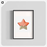 Vintage starfish marine life illustration - エルンスト ヘッケル Poster.