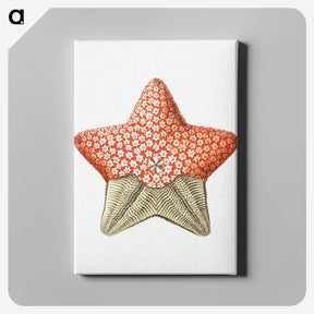 1-42_Ernst-Haeckel_canvas