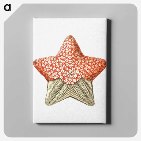 1-42_Ernst-Haeckel_canvas