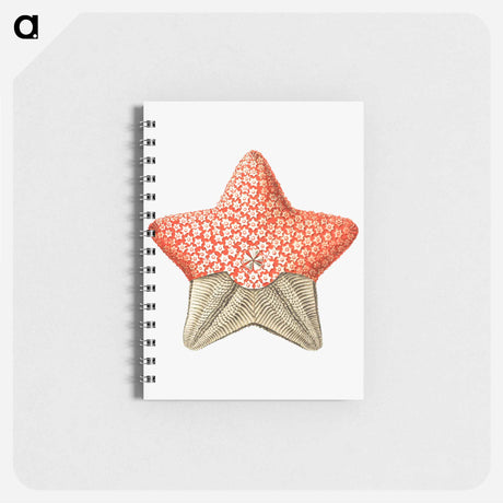 アートメモ帳-Vintage starfish marine life illustration - エルンスト ヘッケル Memo.