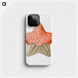 Vintage starfish marine life illustration - エルンスト ヘッケル Phone Case.