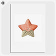 1-42_Ernst-Haeckel_picture