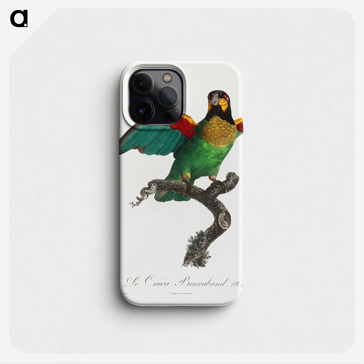 1-42_Francois-Levaillant_phone