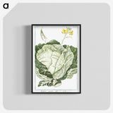 1-42_Hortus-Romanus-Botanical-Plates_blk-crop