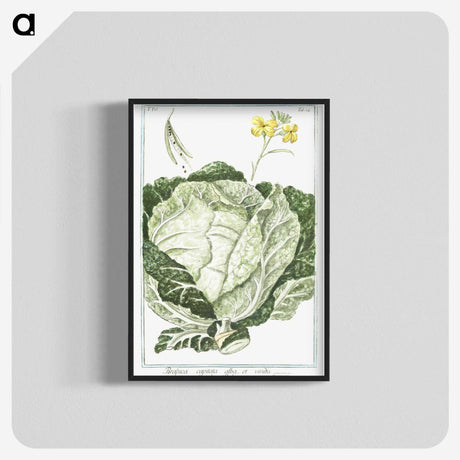 1-42_Hortus-Romanus-Botanical-Plates_blk-crop