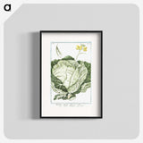 1-42_Hortus-Romanus-Botanical-Plates_blk