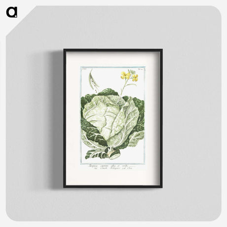 1-42_Hortus-Romanus-Botanical-Plates_blk