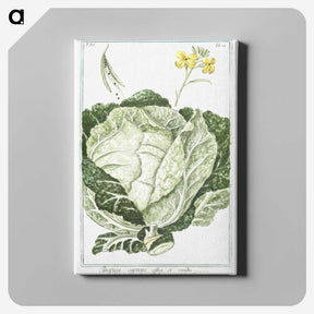 1-42_Hortus-Romanus-Botanical-Plates_canvas