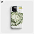 1-42_Hortus-Romanus-Botanical-Plates_phone