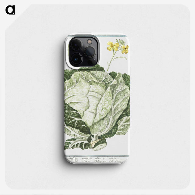 1-42_Hortus-Romanus-Botanical-Plates_phone