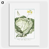 1-42_Hortus-Romanus-Botanical-Plates_picture
