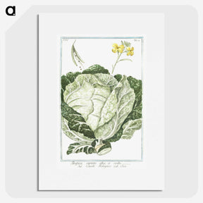 1-42_Hortus-Romanus-Botanical-Plates_picture