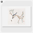 1-42_Hu-Zhengyan_picture