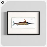 1-42_Ichtyologie-ou-Histoire-naturelle_blk