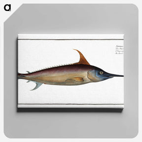 1-42_Ichtyologie-ou-Histoire-naturelle_canvas