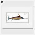 1-42_Ichtyologie-ou-Histoire-naturelle_picture