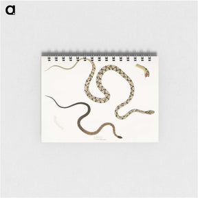 1-42_Indian-Zoology_memo