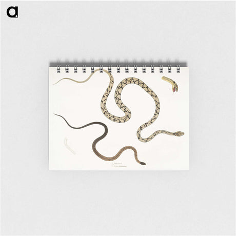 1-42_Indian-Zoology_memo